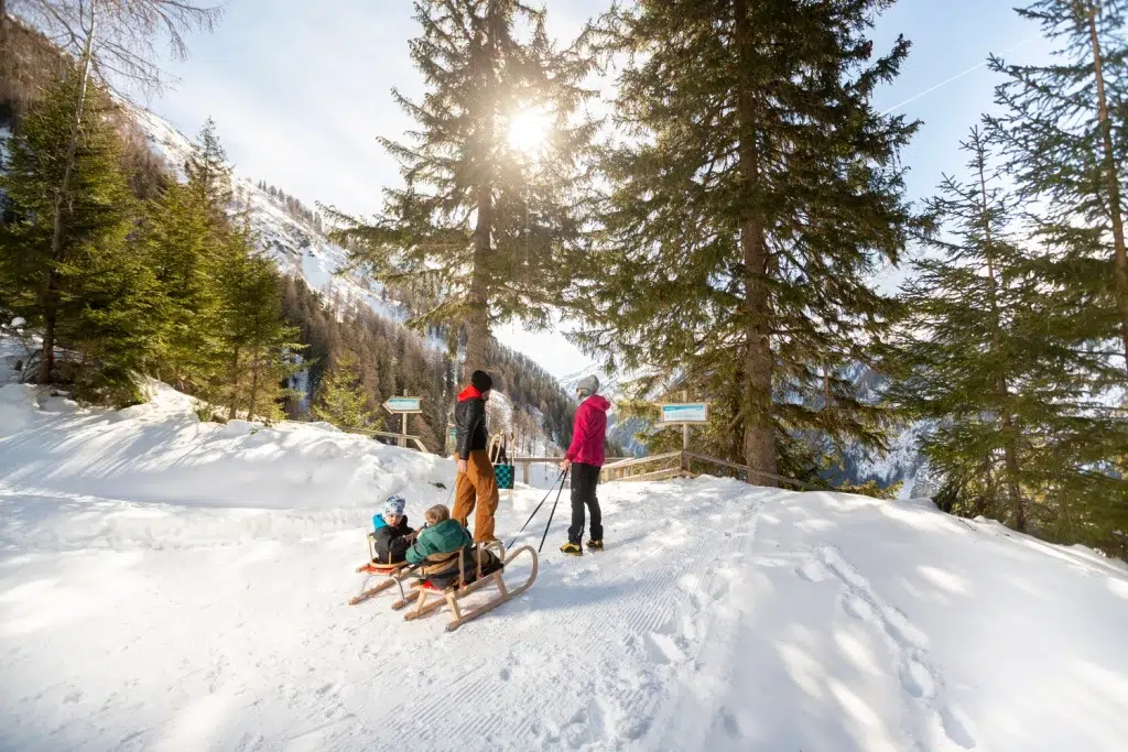 Vier Personen rodeln auf einer verschneiten Kaunertaler Winterpiste, umgeben von sonnenbeschienenen Bäumen und Bergen.