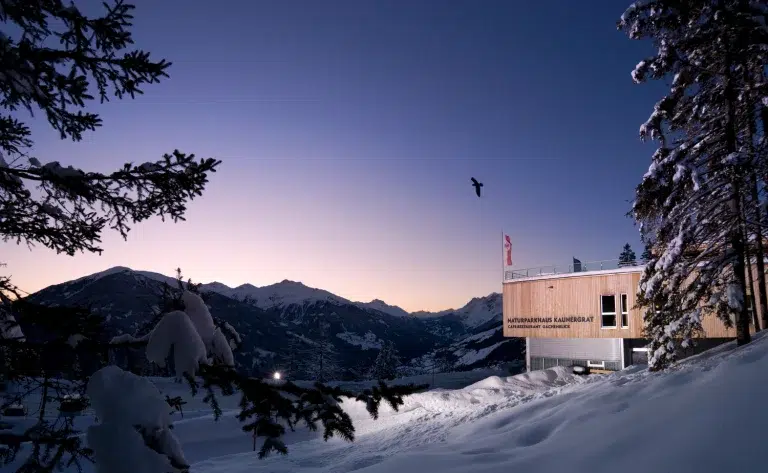 Ein verschneiter Kaunertaler Winterberg in der Abenddämmerung mit einem modernen Gebäude und einem Vogel am Himmel.
